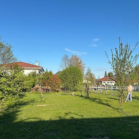 Black Horse Family Apartment - Barrierearm - Pfotenglueck - Familienzeit By Loewenherz Homes Stephanskirchen Экстерьер фото